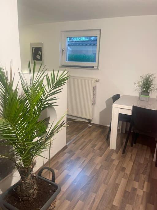 Gemuetliches Einliegerapartment, 50 Qm Trippstadt Eksteriør bilde